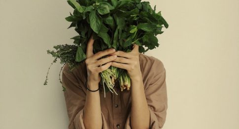 person-holding-green-vegetables-3629537-2